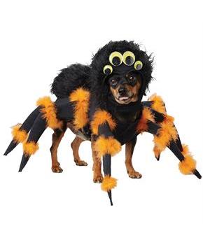 Pet Spider Costume