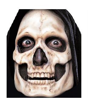 Skull Prepainted Foam Prosthet