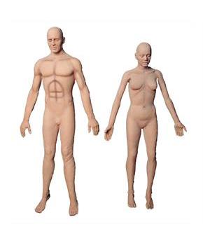 Flex Body Male