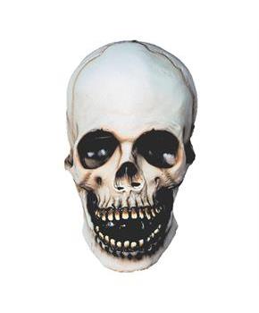 Skull Mask