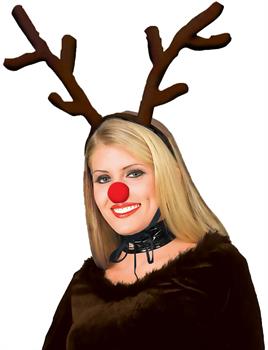 REINDEER KIT