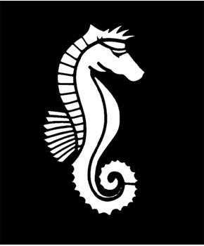 Stencil Seahorse, stainless