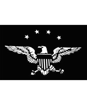 Stencil Eagle Stars stainless 
