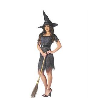 Women's Classic Witch Costume