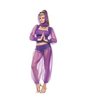 Women's Dreamy Genie Costume