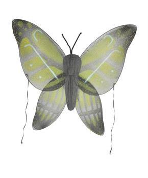 Wings Child Buttrfly Yellow Green