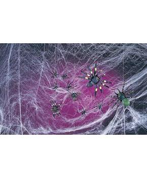 Web With Spiders