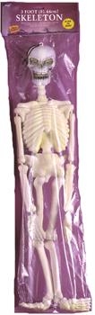 Glow In Dark Skeleton