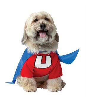 Underdog Pet Costume