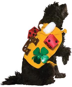 Lucky Dog Costume