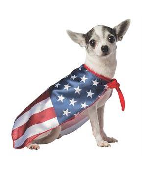 USA DOG FLAG COSTUME