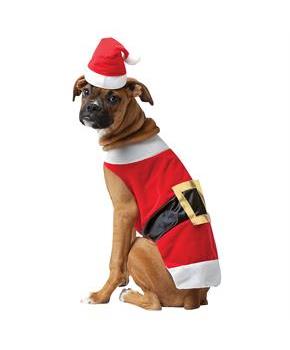 Santa Dog Costume
