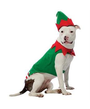 Pet Costume Elf