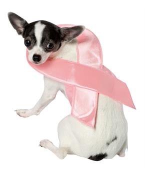 Pet Costume Pink Ribbon