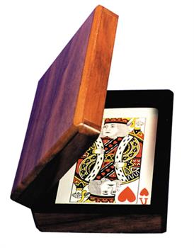 Aladdin's Card Case Enardoe