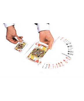 Cards Jumbo
