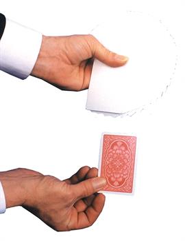 Blank Face Deck/Enardoe