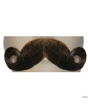 MUST M77 FULL CURL HU LT BN 10