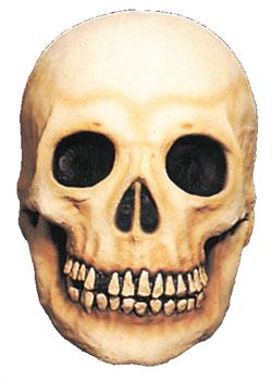 Large Latex Skull