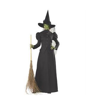 Witch Classic Deluxe Adult Costume