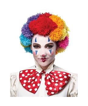Adult Rainbow Clown Wig