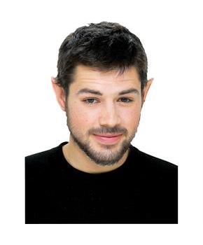 Small Pointed Ear Tips