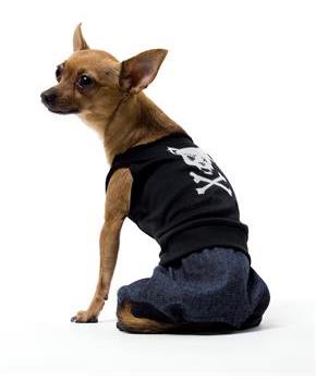 Bad Boy Dog Costume