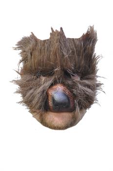 Bear Mask