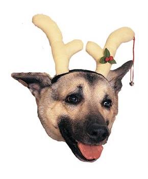 Dog Reindeer Antlers
