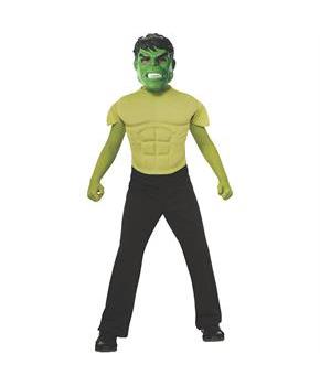 Boy's Incredible Hulk Costume Kit