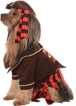 Pirate Dog Costume