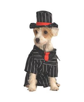 Gangster Pet Costume