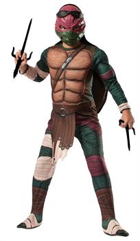 Boy's Raphael Costume