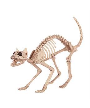 Skeleton Cat