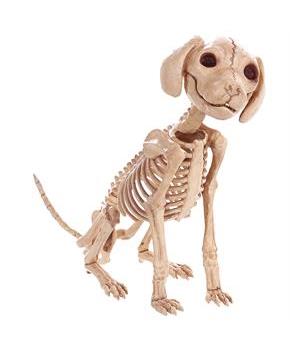 PUPPY SITTING SKELEBONES