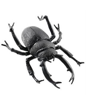 BLACK BEETLE 