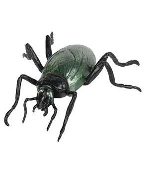 COCKROACH