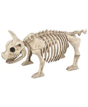PIG SKELETON