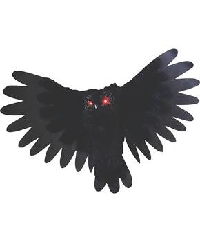 Animated Owl