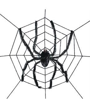 Spider Web With Spider