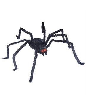 Giant Hairy Spider