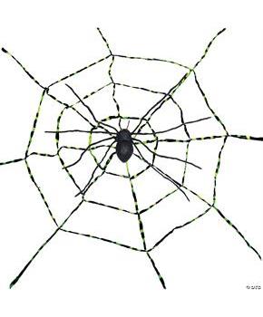 Spiderweb With Spider