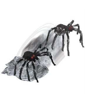 JUMPING SPIDER BLACK