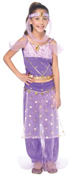 Magic Genie Child 3-4 Costume