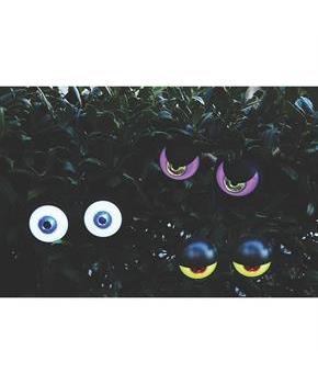 PEEPING PEEPER BATTERY W TIMER