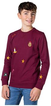 OppoSuits Deluxe Teen Boys' Sweaters TEEN BOYS X-Mas Icons - Burgundy