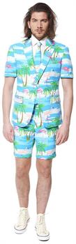 OppoSuits Men's Summer Suits SUMMER Flaminguy