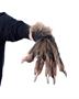 Wolf Gloves