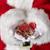 Bulk Red Santa Believe Metal Coins