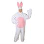 Child Bunny Suit with Hood
